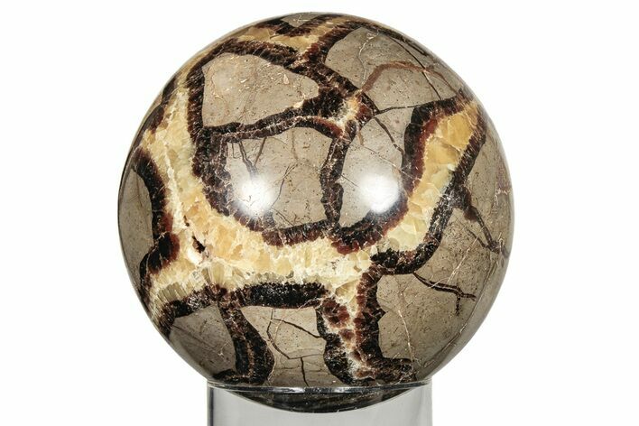 Polished Septarian Sphere - Madagascar #210179